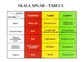 Tabela oceny noworodka wg skali Apgar: kryteria (skóra, serce, odruch, napięcie mięśniowe, oddech) i punkty (0, 1, 2) dla oceny stanu dziecka.