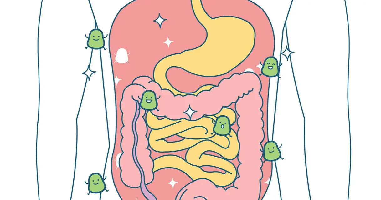 Ilustracja układu pokarmowego z uśmiechniętymi zielonymi postaciami, symbolizującymi zdrowie po odrobaczeniu dziecka.
